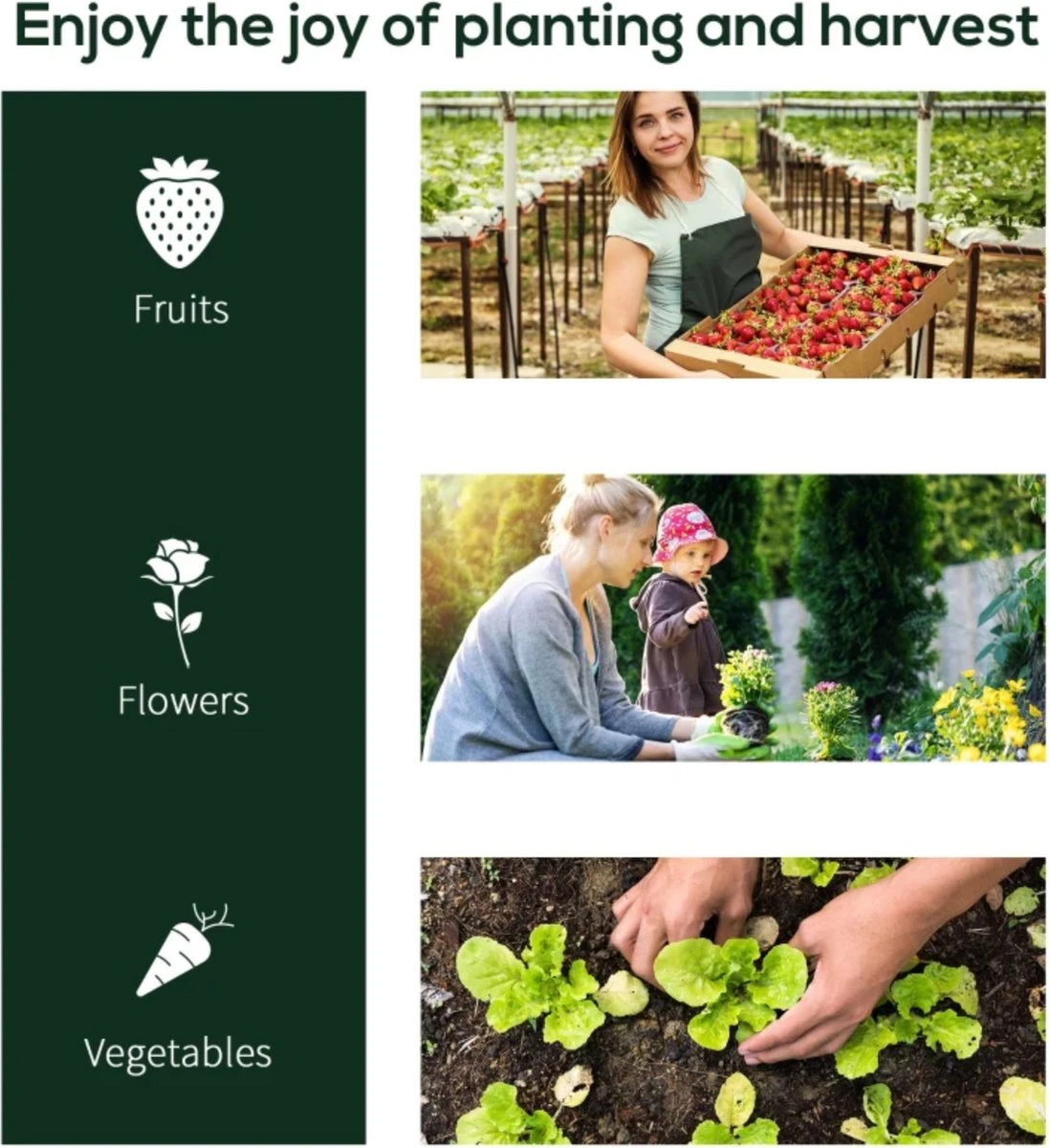 Tunnelkas - Tuinkas - Kweekkas - Broeikas - Kweektent - Kas - 200 X 100 X 80 Cm - Transparant - Afbeelding 4