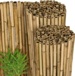 Sol Royal Solvision B38 – Balkonscherm Bamboe 120x250cm – Bamboe Balkondoek FSC®