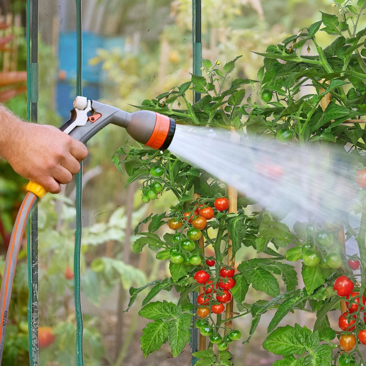 Relaxdays Tomatenkas 170 X 130 X 75 Cm - Folie Tuinkas - Grote Tomaten Kweekkas - Foliekas - Afbeelding 6