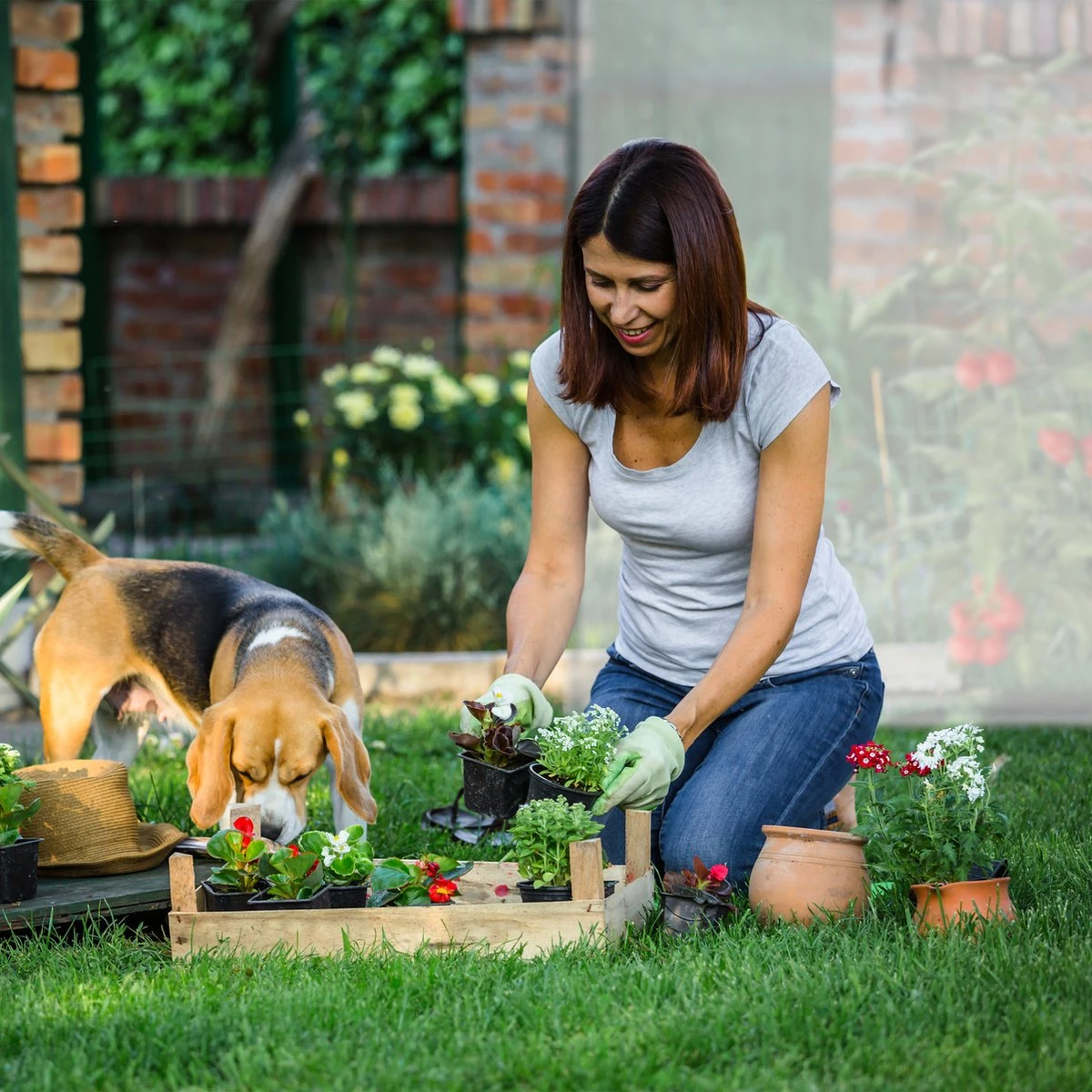 Relaxdays Tomatenkas XL - Met Schuin Dak - Kweekkas Voor Tomaten - Plastic Serre - Afbeelding 8