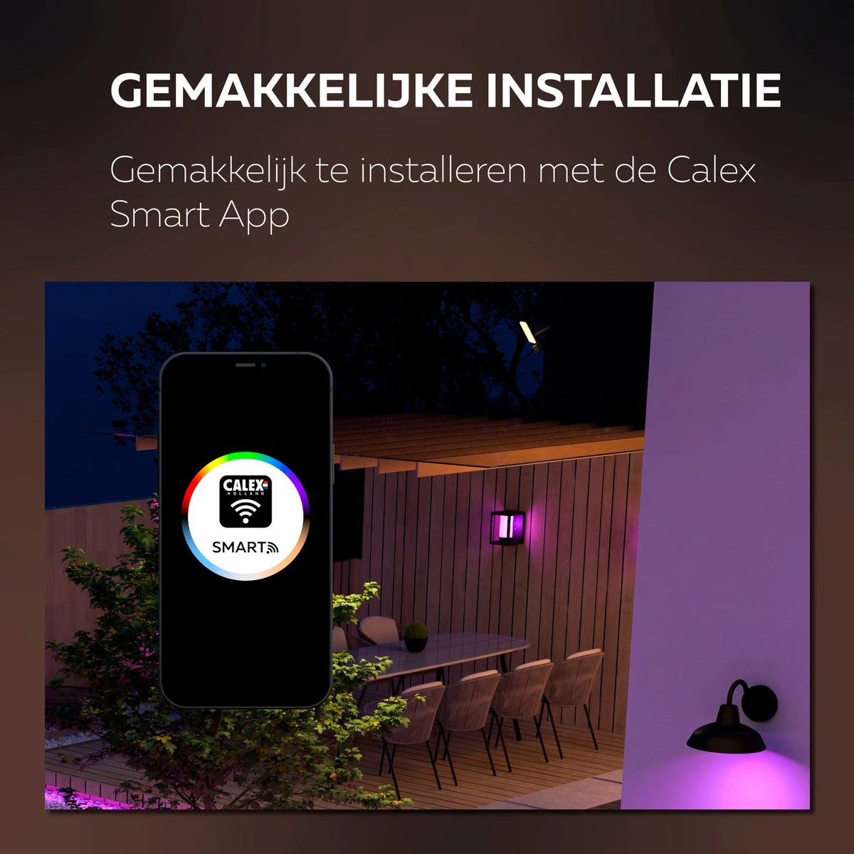 Calex Smart Outdoor LED Buitenlamp - Slimme Wandlamp - RGB En Warm Wit Licht - 4W - Zwart - Afbeelding 4