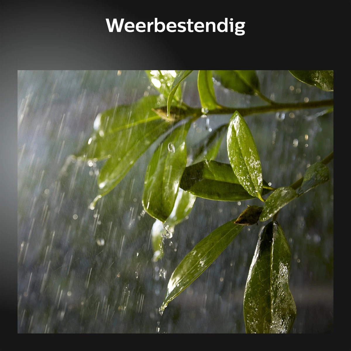 Philips Hue Discover Verstraler - Wit En Gekleurd Licht - Zwart - Afbeelding 11