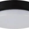 Led Buiten Plafondlamp - Geschit Voor Binnen En Buiten Opbouwlamp - 18w - 4000K Daglicht - 2235 Lumen - Rond - Zwart/Wit - 210 Mm - IP65