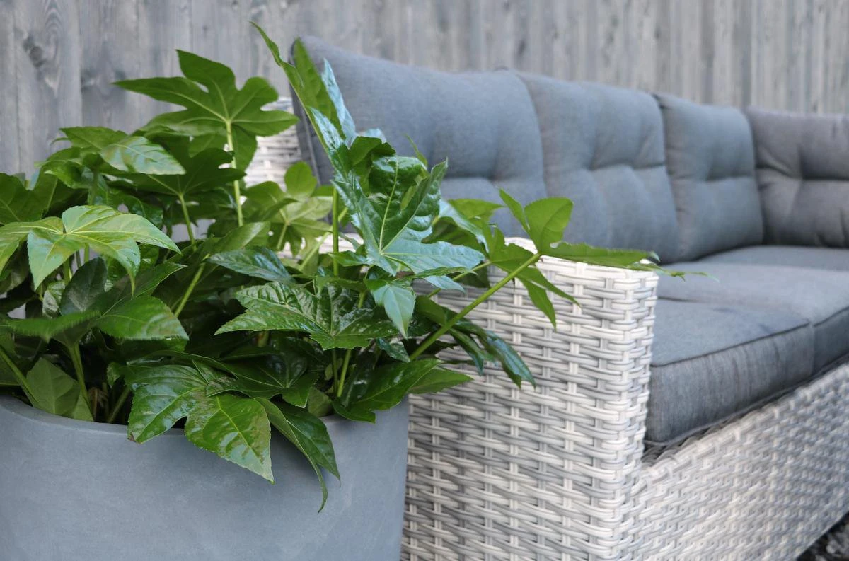 Merkloos Rivièra Original | Loungeset Hoekset Dining Set Tuinset | Wicker | Hoekbank, Hoge Tuintafel, 2 Hockers | 6 Zitplaatsen - Afbeelding 3