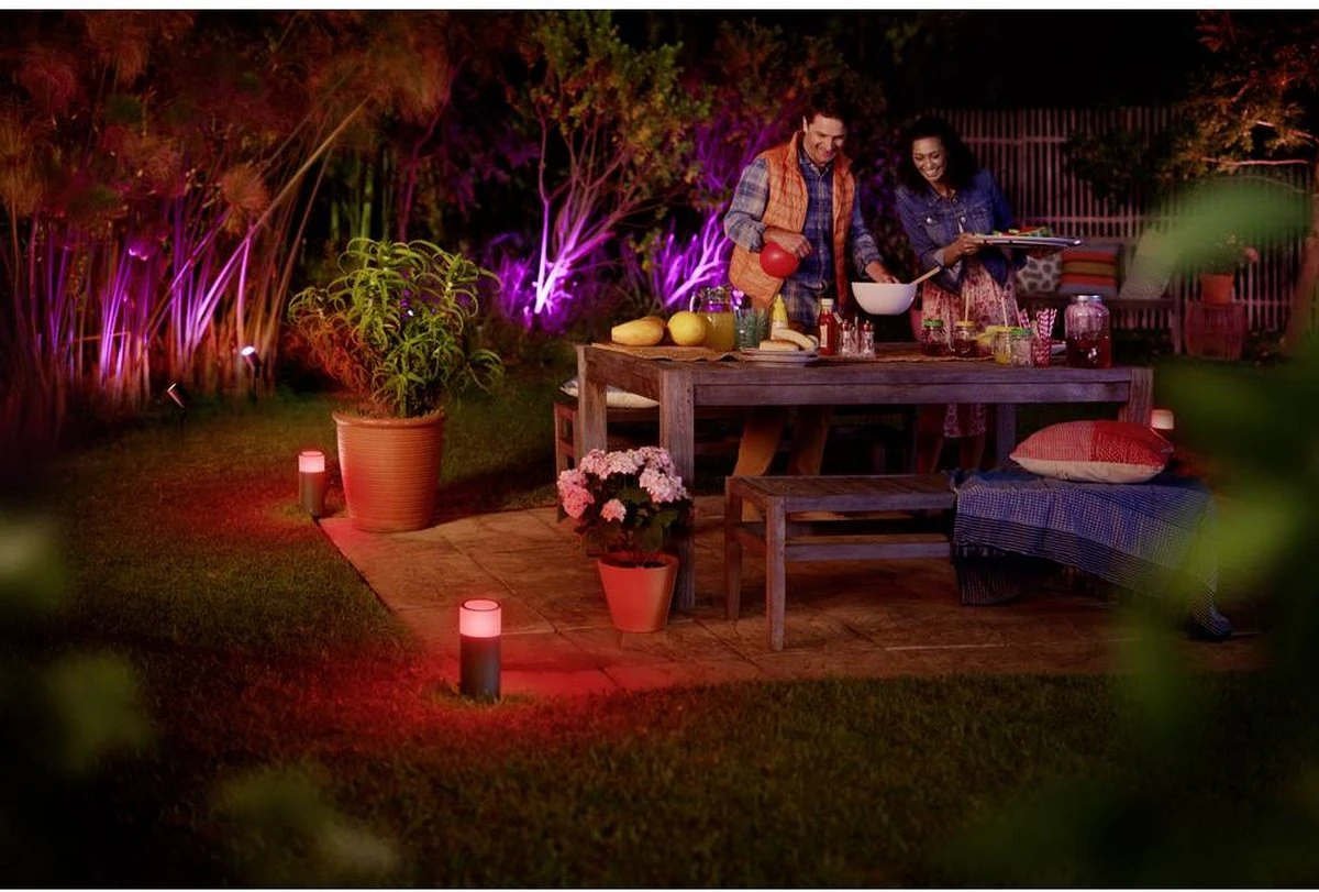 Philips Hue Calla Sokkellamp - Wit En Gekleurd Licht - Zwart - Laag - Laagspanning - Uitbreiding - Afbeelding 19