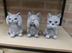 Kat Horen Zien Zwijgen Decoratief Beeld Katten 12cm Beton Kleur Gebroken Wit Katjes Poezen Poes